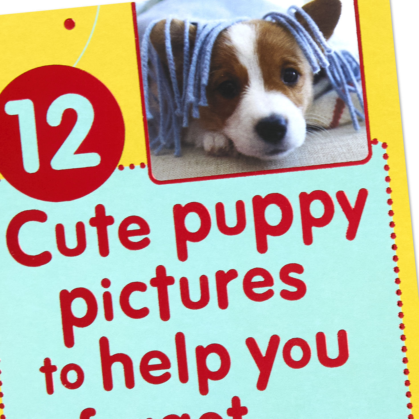 Cute Dog Photos Birthday Card Card Front Detail image number 7
