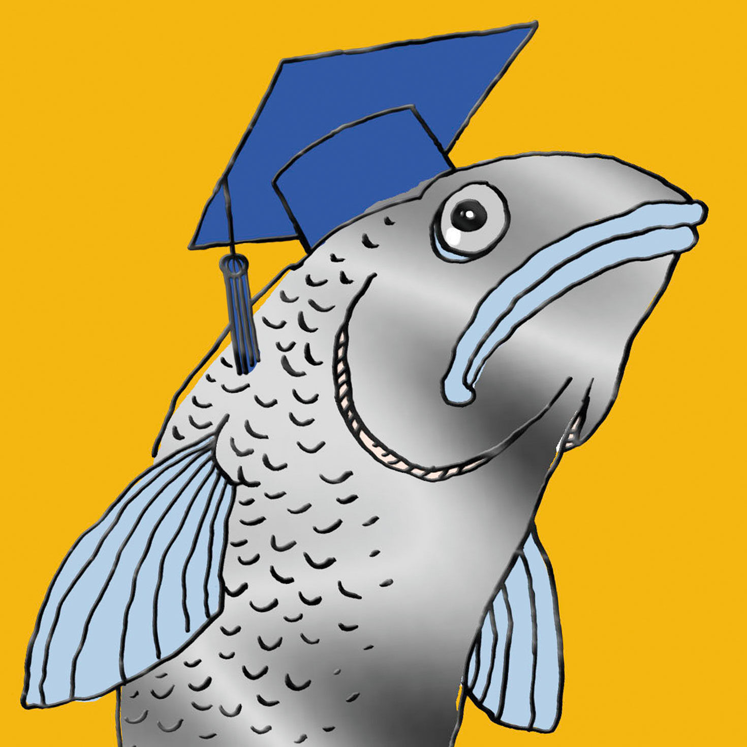 Cartoon Fish in Grad Cap Funny Graduation Card Card Front Detail image number 4