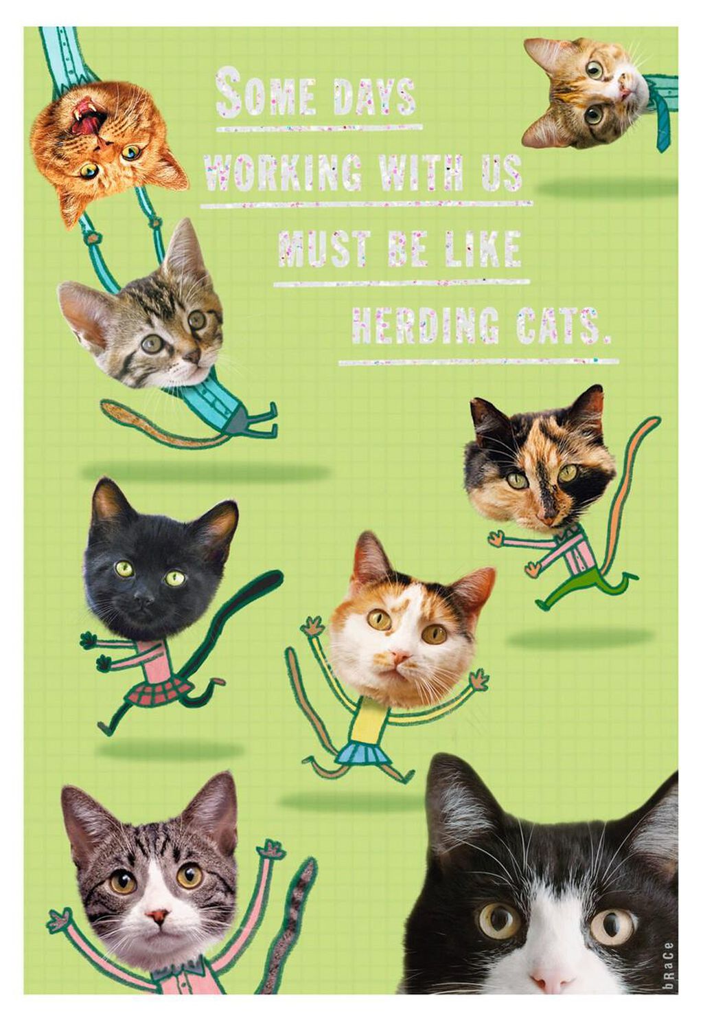 herding cats administrative professionals day card greeting cards