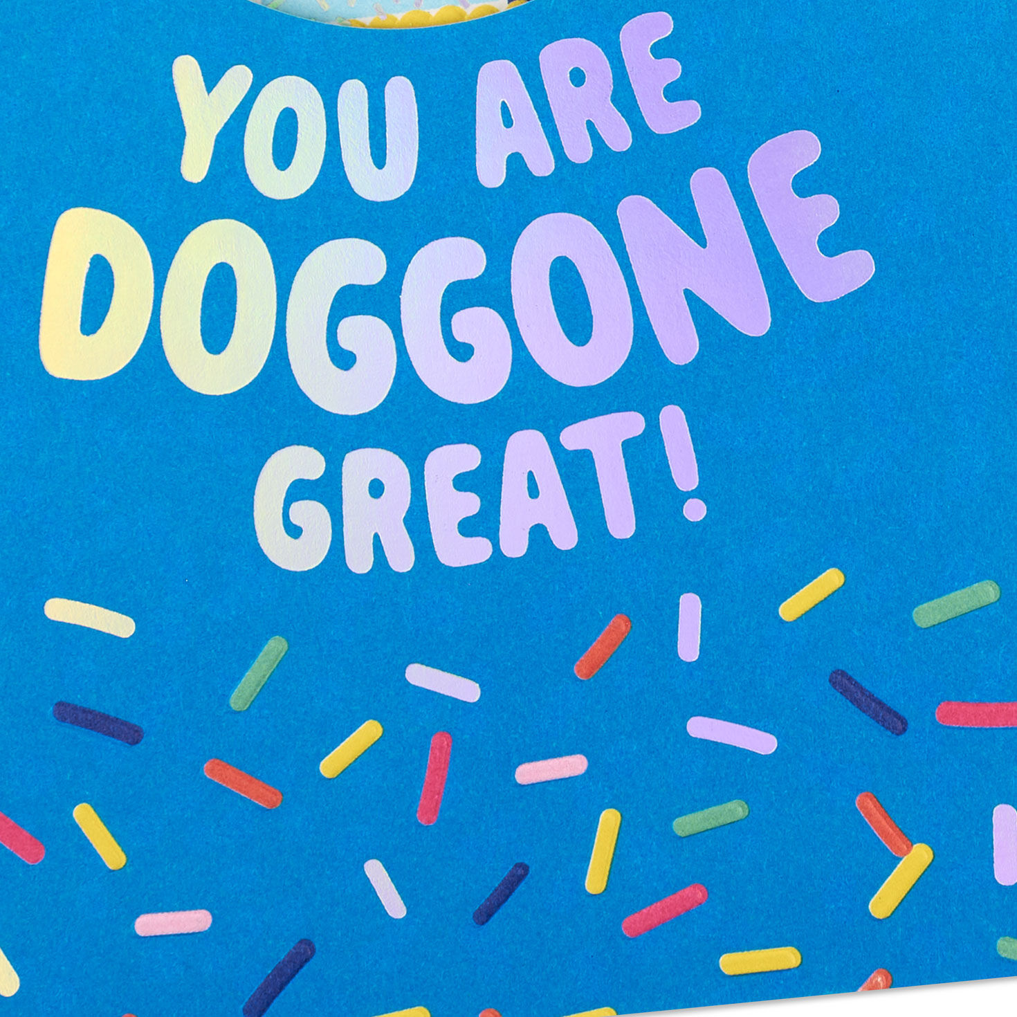 You're Doggone Great Birthday Card for Kids for only USD 4.99 | Hallmark