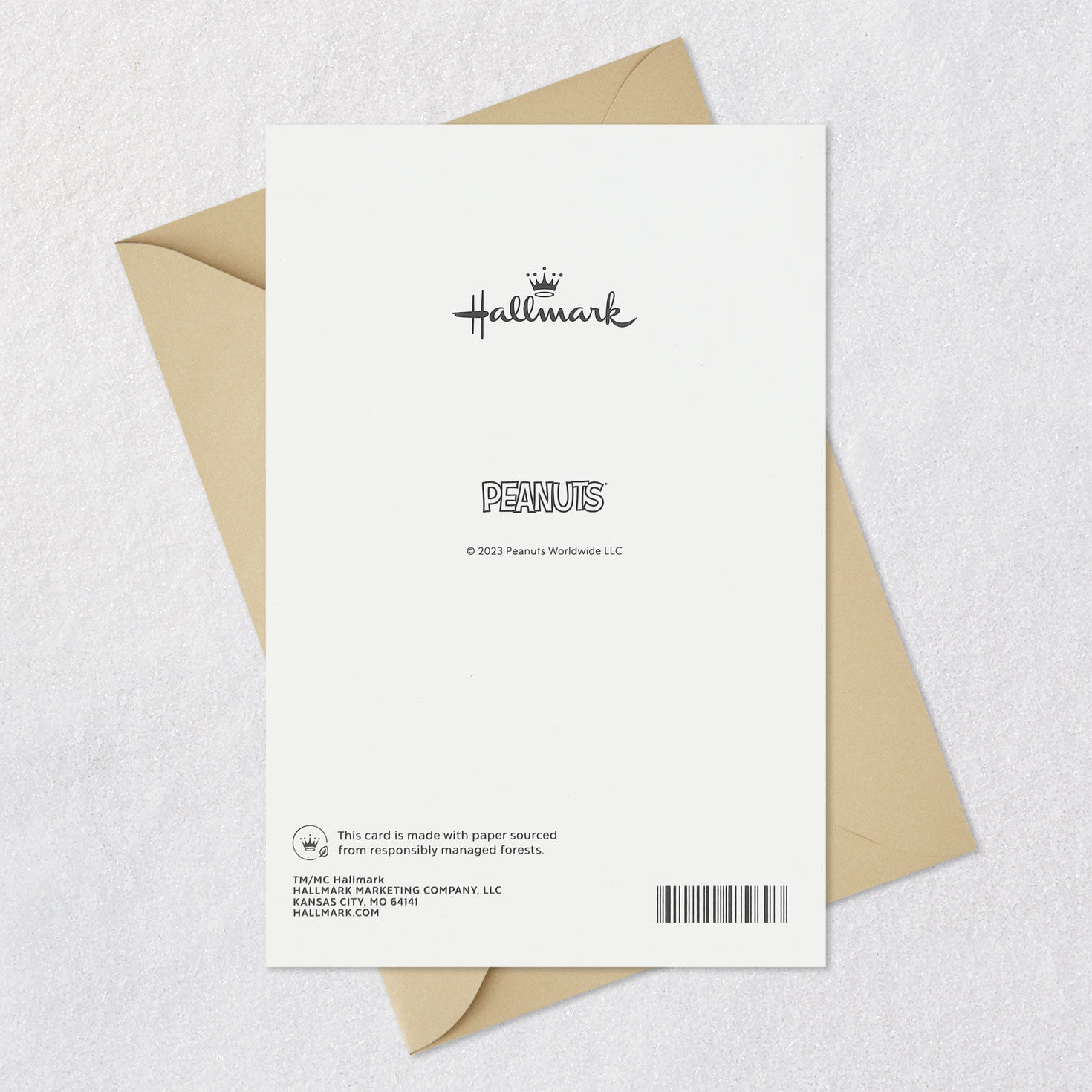 Peanuts&reg; Beagle Scouts Compass No One Like You Birthday Card, , large image number 7