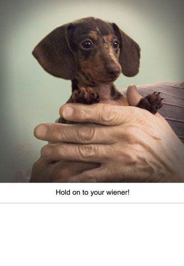 Hold on Wiener Dog Funny Birthday Card