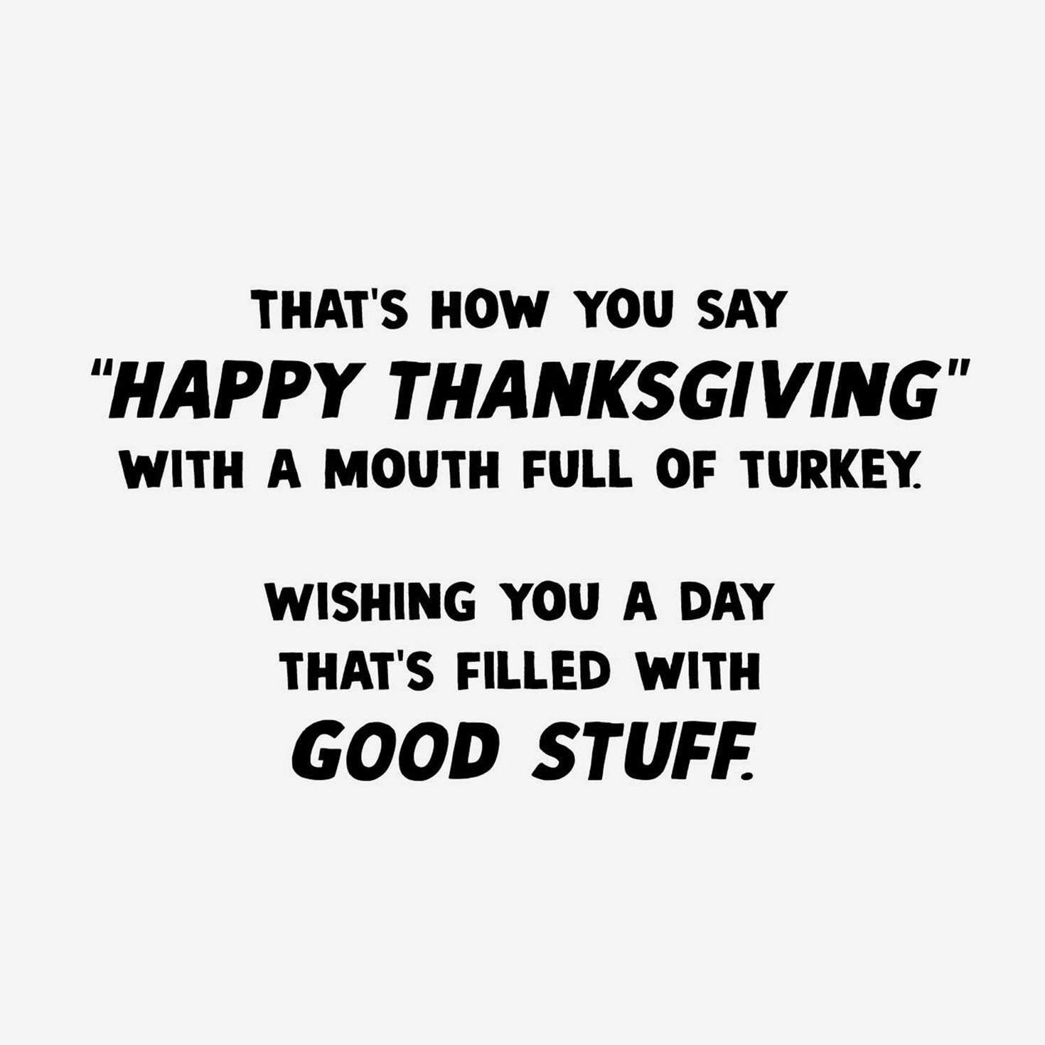 Cat With Roasted Turkey Funny Thanksgiving Card Sentiment image number 2