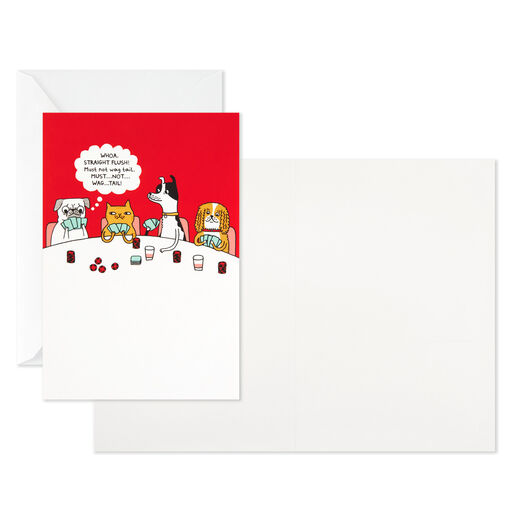 Funny Shoebox Assorted Blank Cards, Pack of 12, 