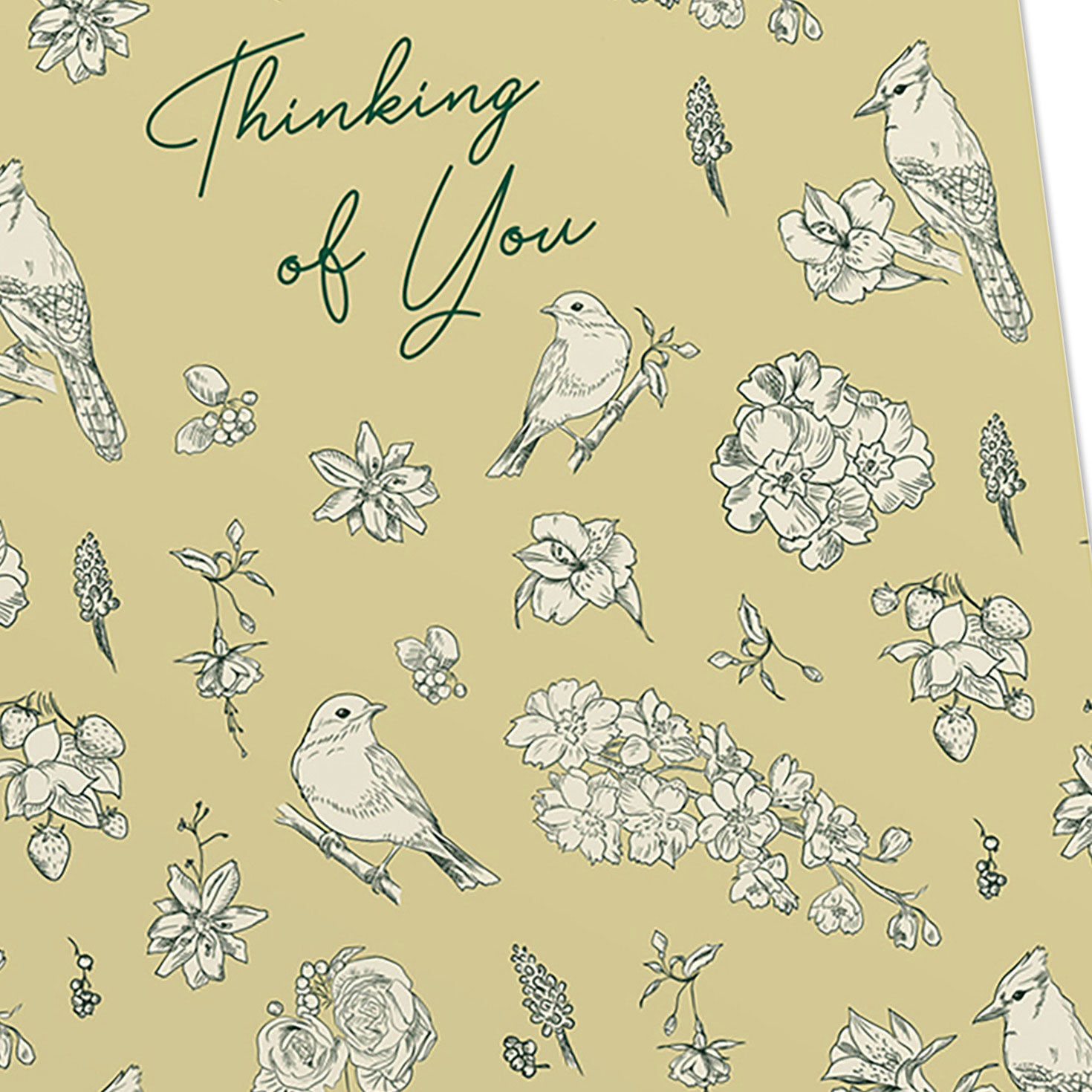 Floral DaySpring Thinking of You Cards Assortment Cover Detail image number 5