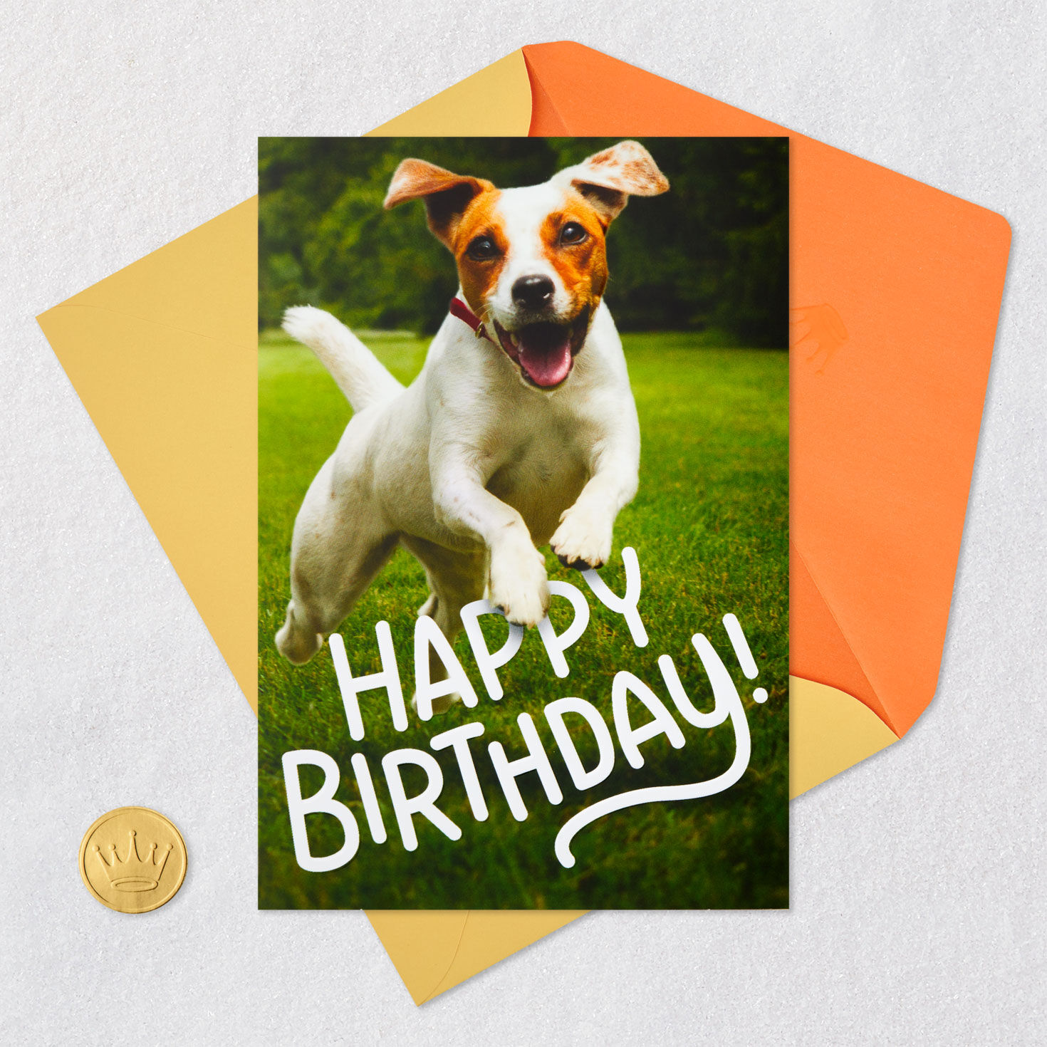 Excited Dog Funny Birthday Card Card Front with Envelope and Gold Seal image number 5