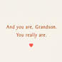 Loved and Admired Valentine's Day Card for Grandson, , large image number 3