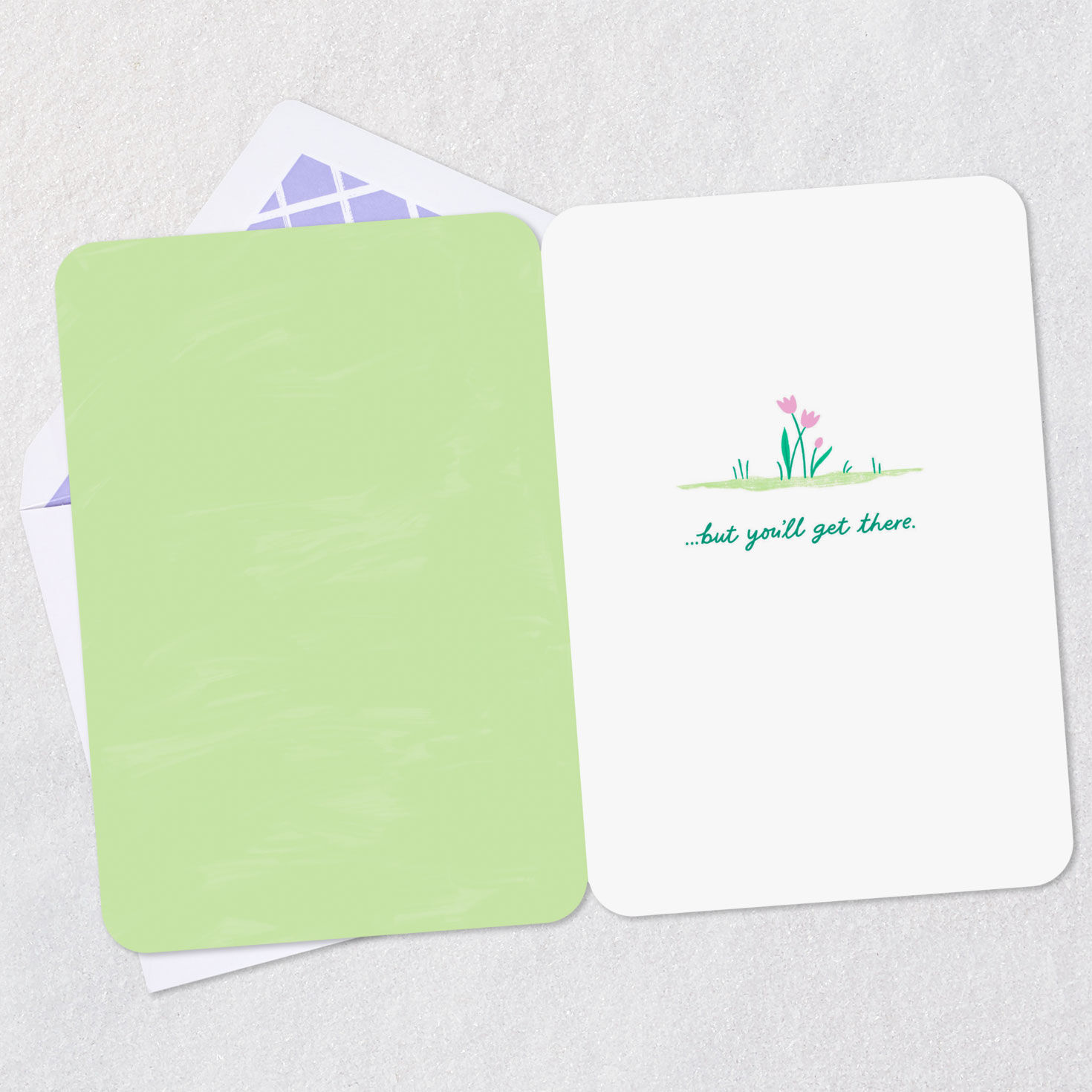 Snail and Turtle Recovery Takes Time Get Well Card Open card with envelope image number 3