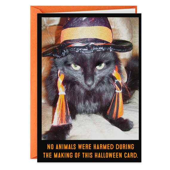 Unhappy Black Cat Witch Funny Halloween Card