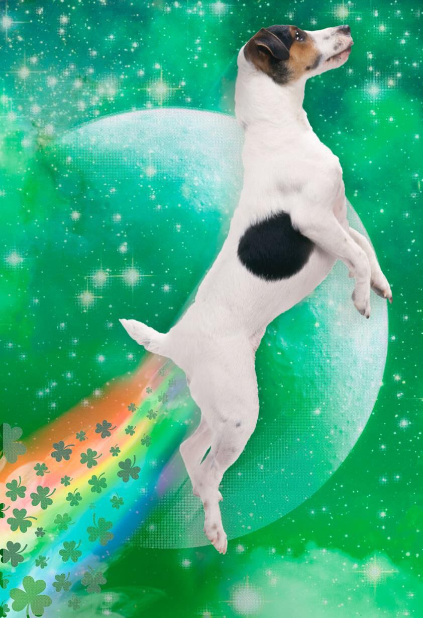 Dog Farting Shamrocks Funny St. Patrick's Day Card