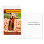 Golden Retriever in Scarf Thanksgiving Cards Pack Card Front with Sentiment image number 2