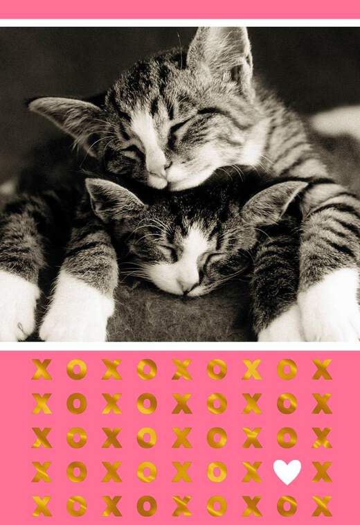 Sleeping Kittens Romantic Sweetest Day Card, , large image number 1