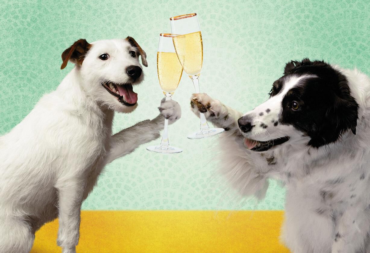 Sip, Sip Hooray! Champagne Toast Funny Anniversary Card - Greeting Cards - Hallmark1228 x 842