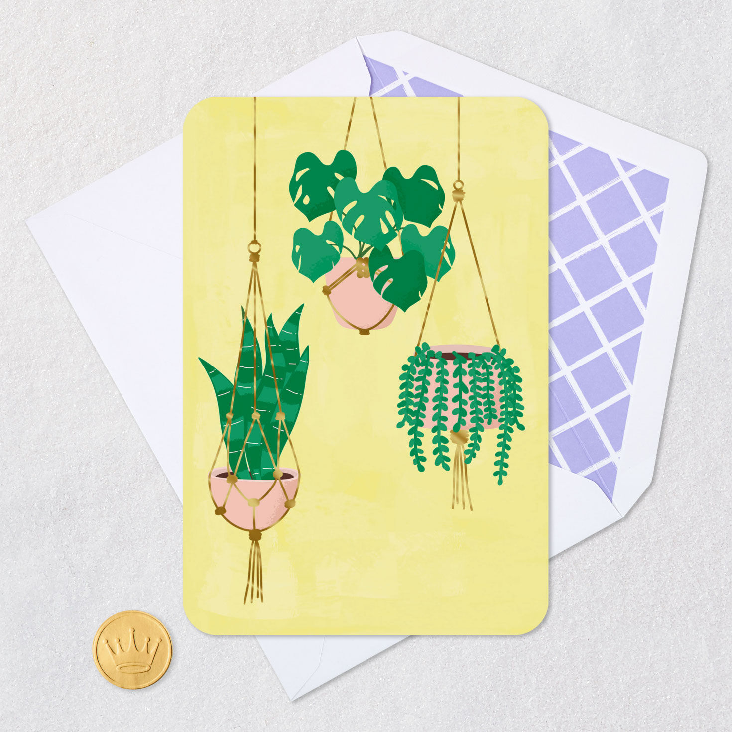 Houseplants in Hanging Baskets Blank Card Card Front Detail image number 4