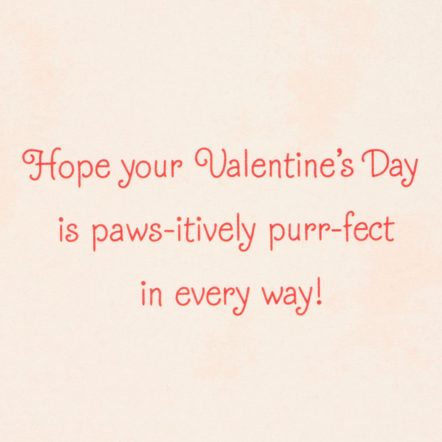 Kitten and Yarn Valentine's Day Card From the Cat sentiment image number 2