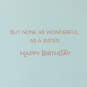 You're a Wonderful Gift Birthday Card for Sister, , large image number 2