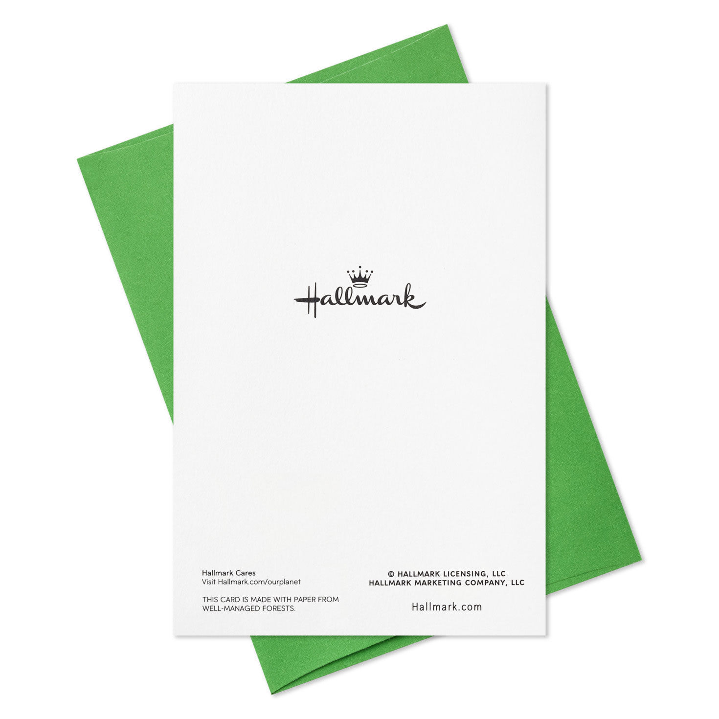 The Best and Simplest Gifts Packaged Christmas Cards, Set of 5, , large image number 7