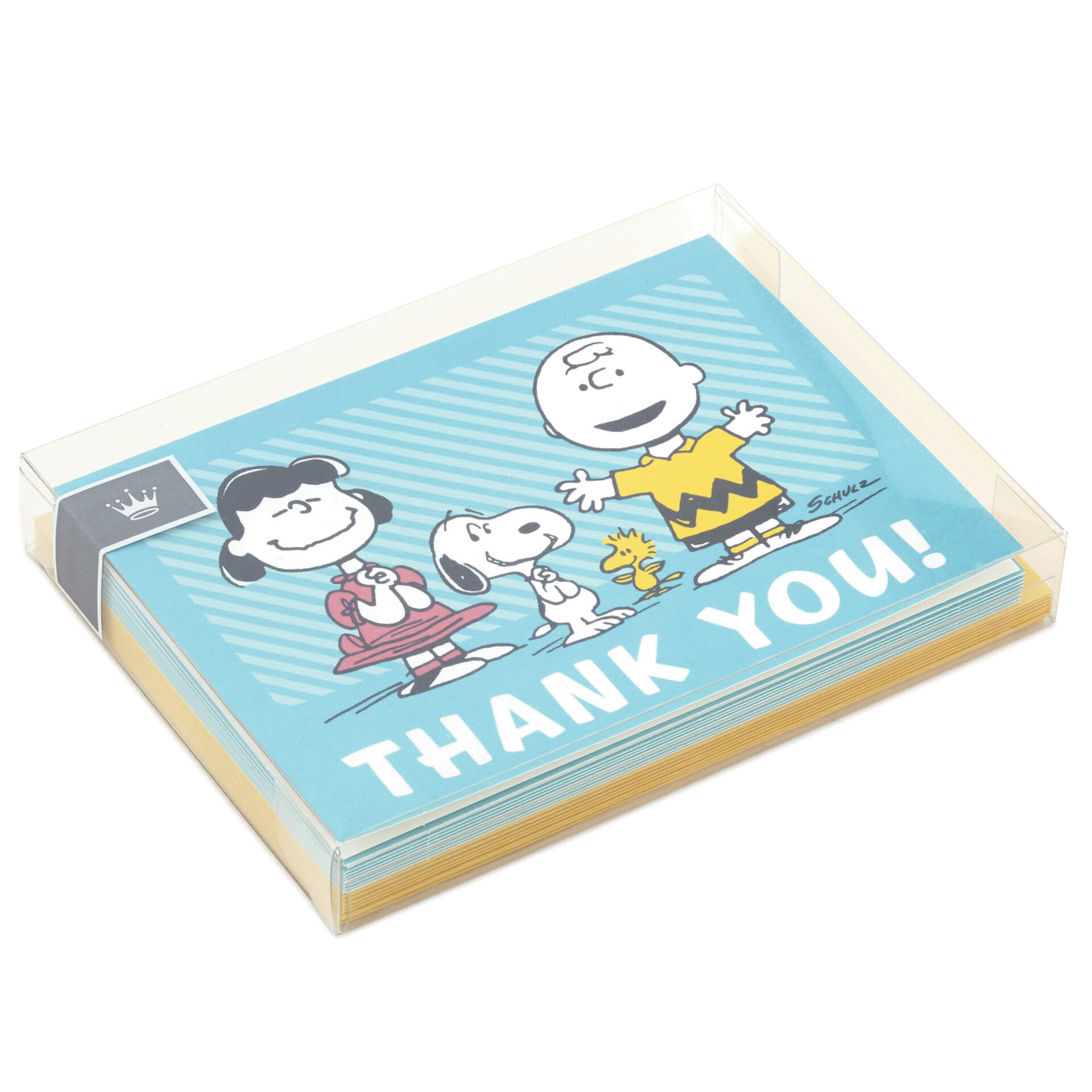 Peanuts® Charlie Brown, Lucy and Snoopy Boxed Blank ThankYou Notes