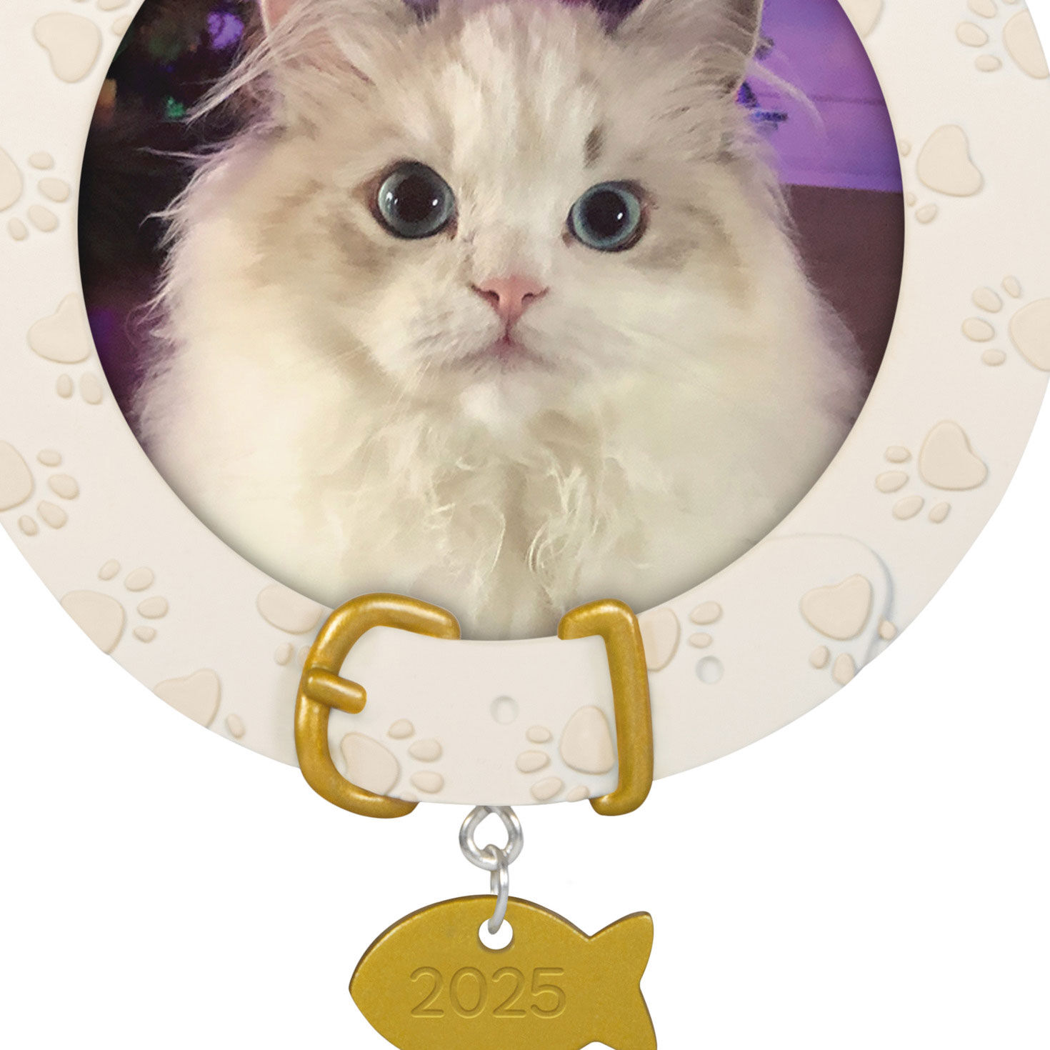 Pet Collar With Fish Charm Frame Keepsake Ornament closeup view image number 5