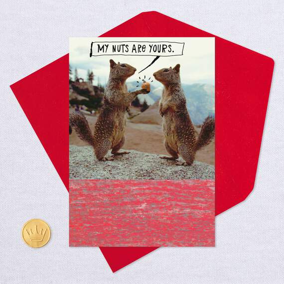 My Nuts are Yours Squirrels Funny Valentine's Day Card, , large image number 5