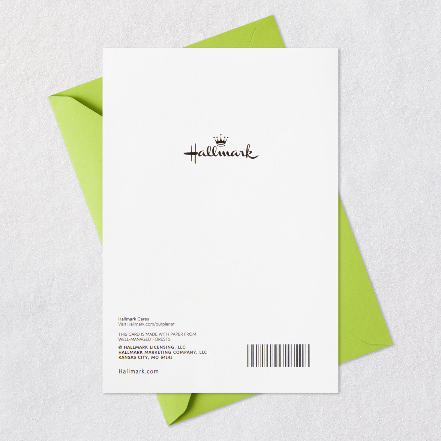 Happy Memories With You Christmas Card for Sister, , large image number 11