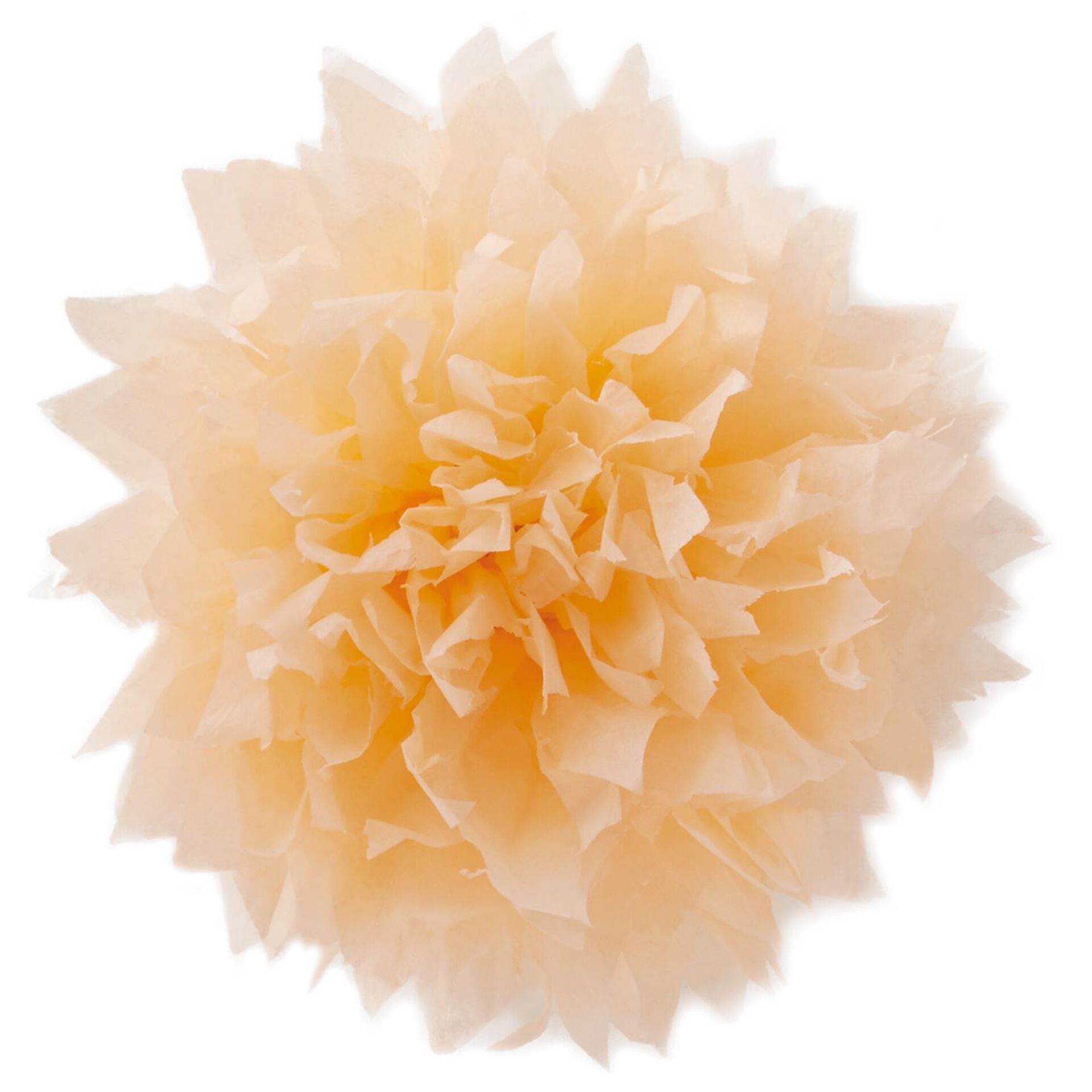 Peach Tissue Paper Flower Pom Pom Gift Bow, 5" Bows & Ribbons Hallmark