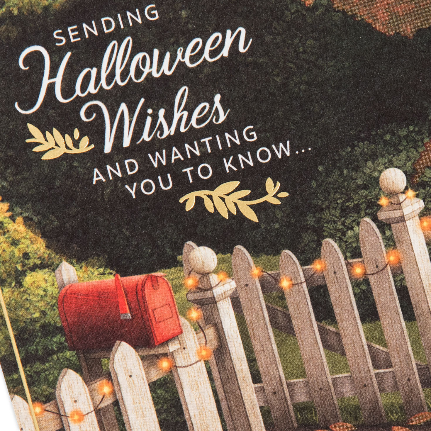 As the Seasons Come and Go Halloween Card for only USD 4.59 | Hallmark