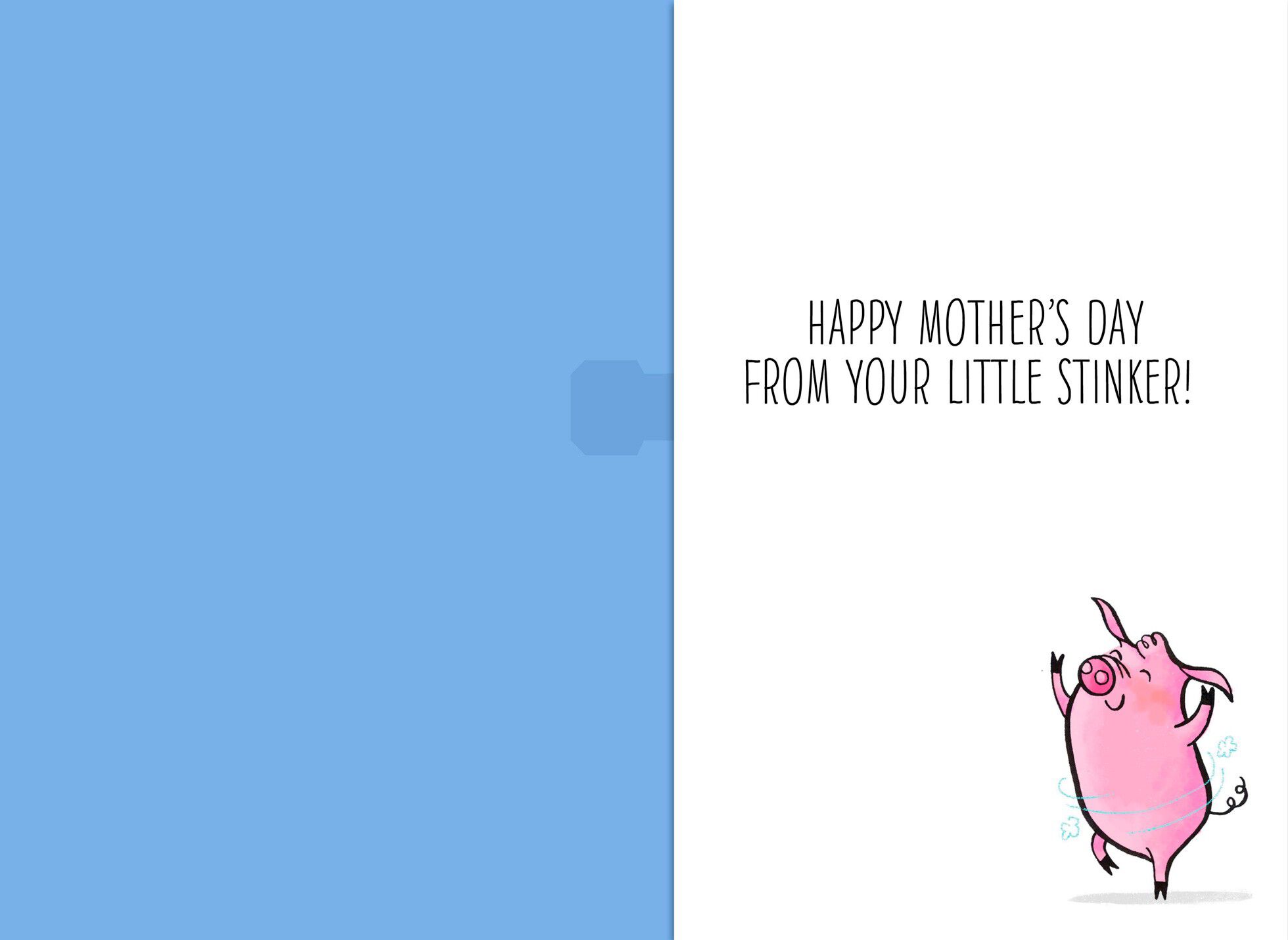 From Your Little Stinker Musical Mother’s Day Card