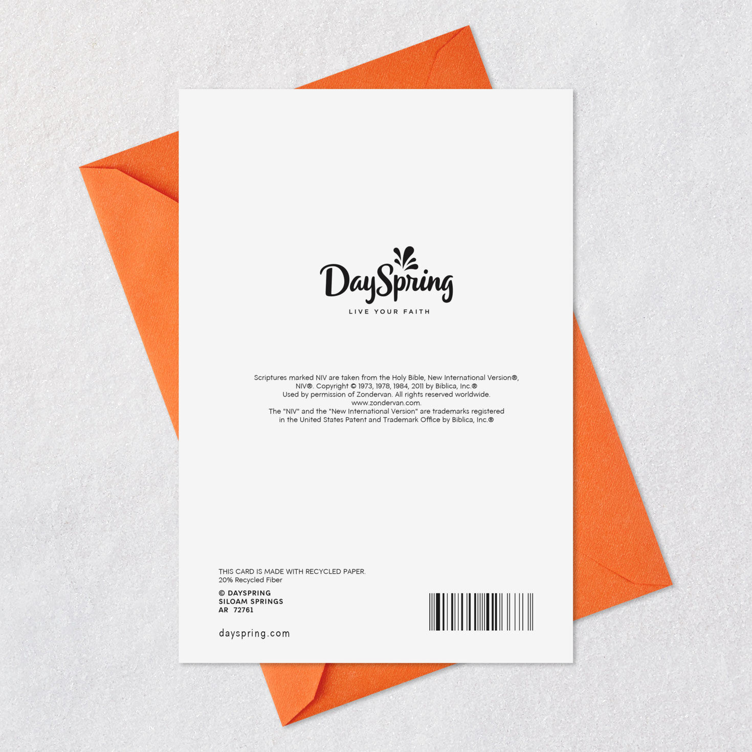 All Kinds of Happy Religious Belated Birthday Card, , large image number 8