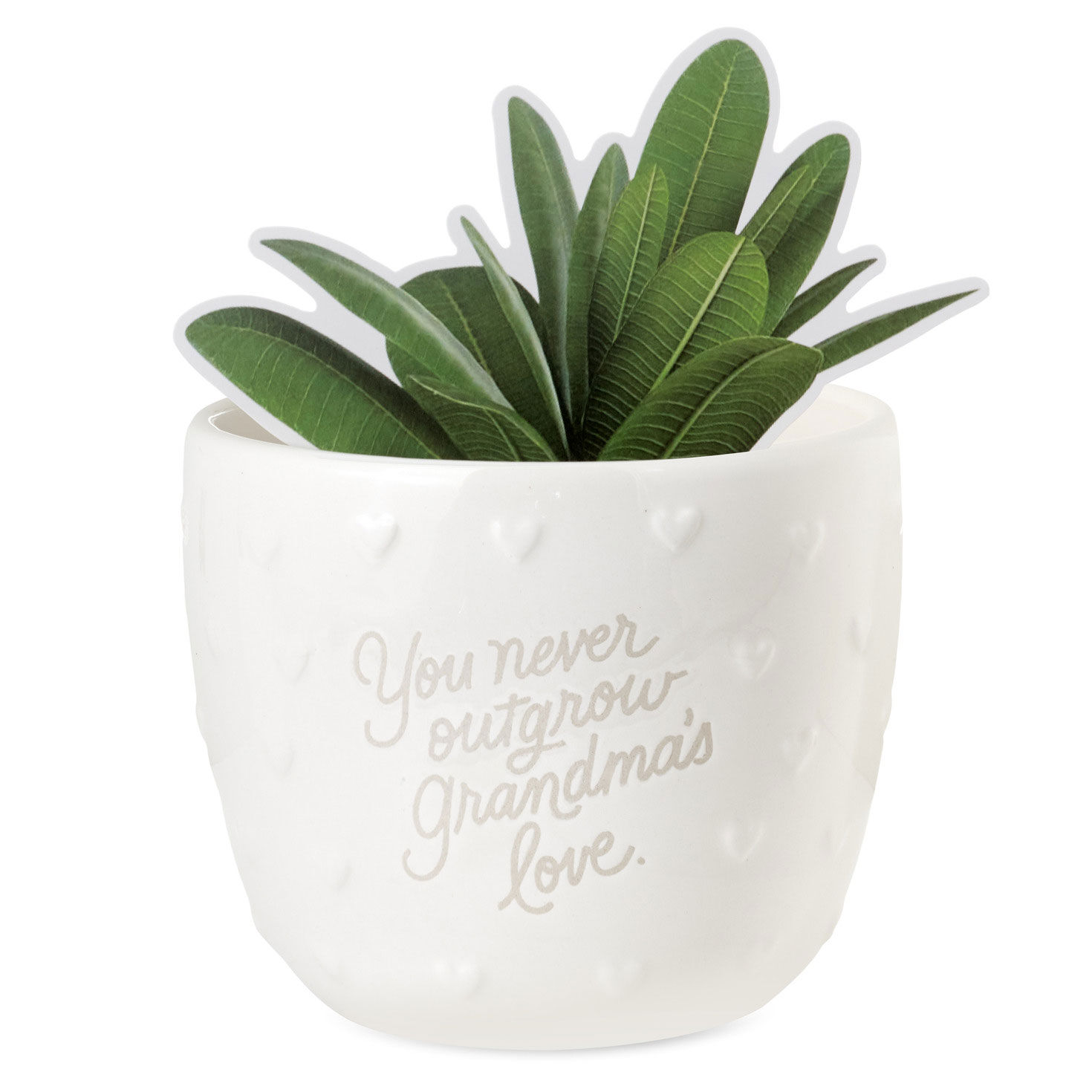 Planter-Shaped Pen Holder for Grandma front with plant image number 4