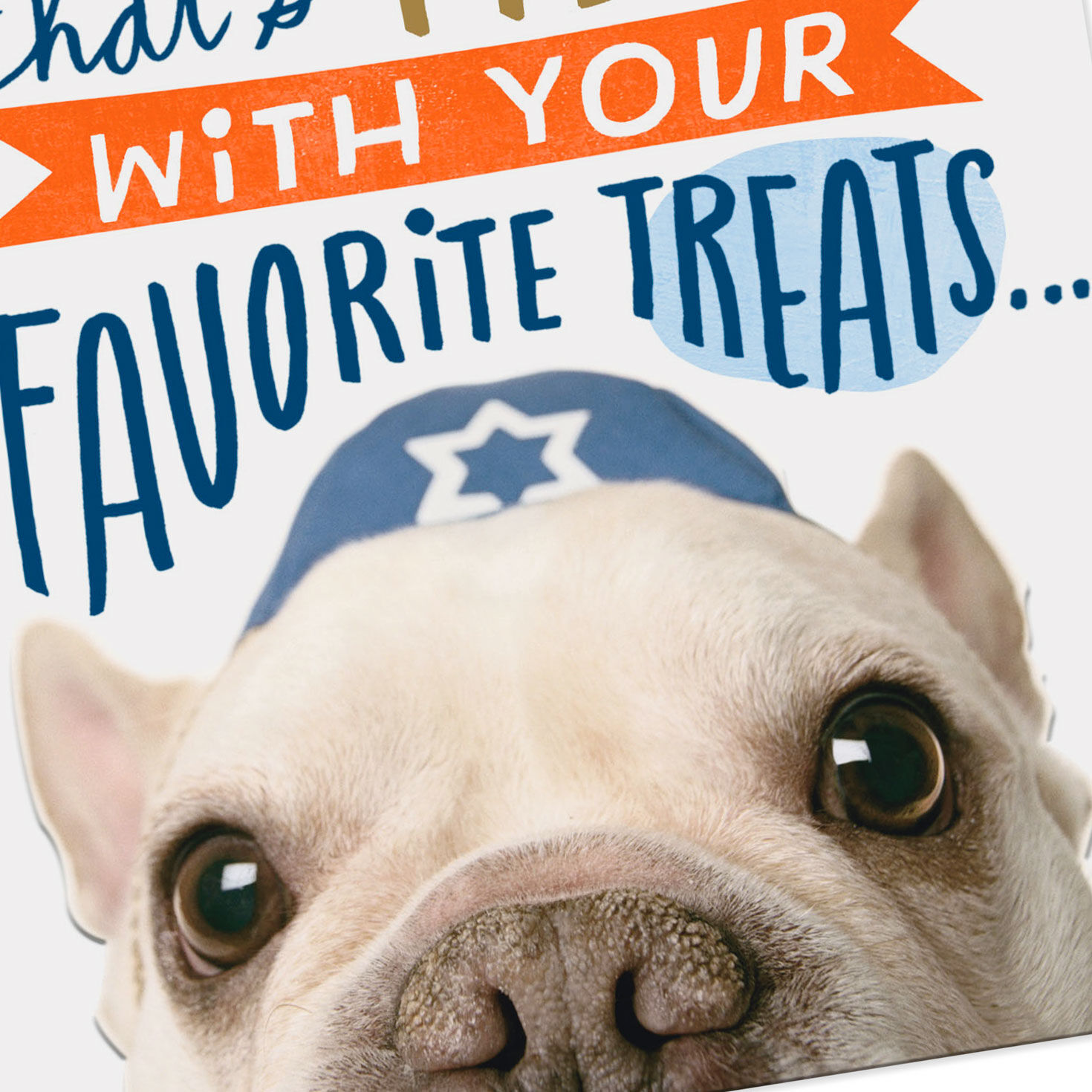 Dog in Yarmulke Funny Rosh Hashanah Card for only USD 2.59 | Hallmark