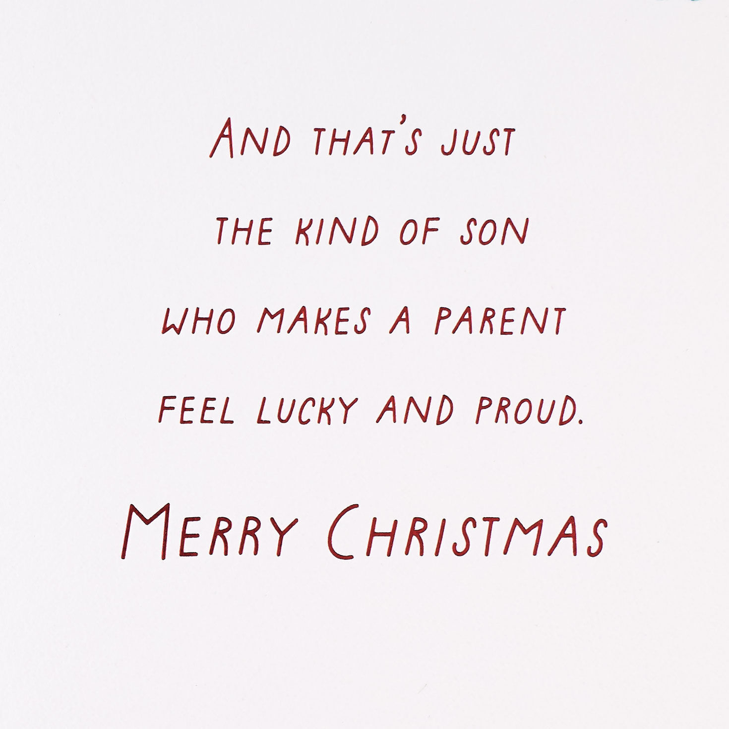 Pine Cone and Holly Son Christmas Card Sentiment image number 3