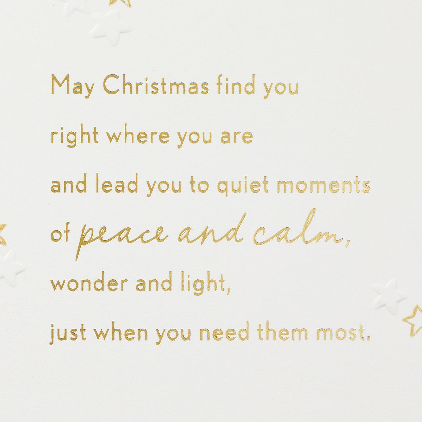 Fir Tree and Holly Christmas Card Sentiment image number 2