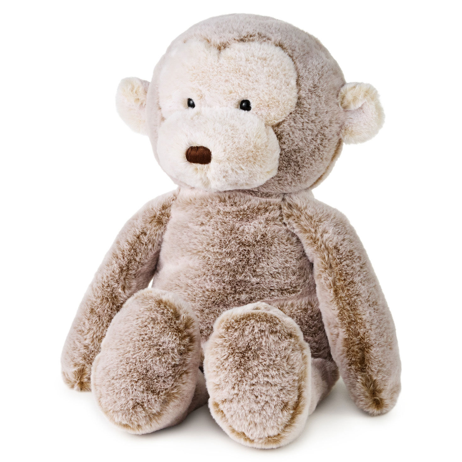 Light Brown Monkey Plush, 14" for only USD 49.99 | Hallmark