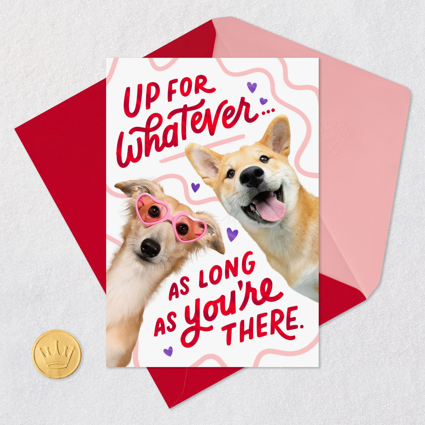 Playful Pups Valentine's Day Card Card Front with Envelope and Gold Seal image number 5