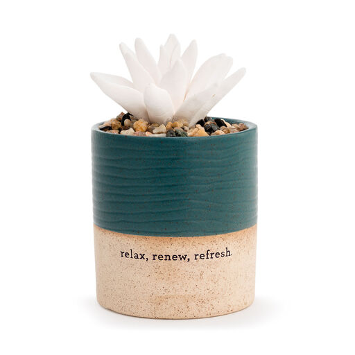 Demdaco Relax Succulent Oil Diffuser, 