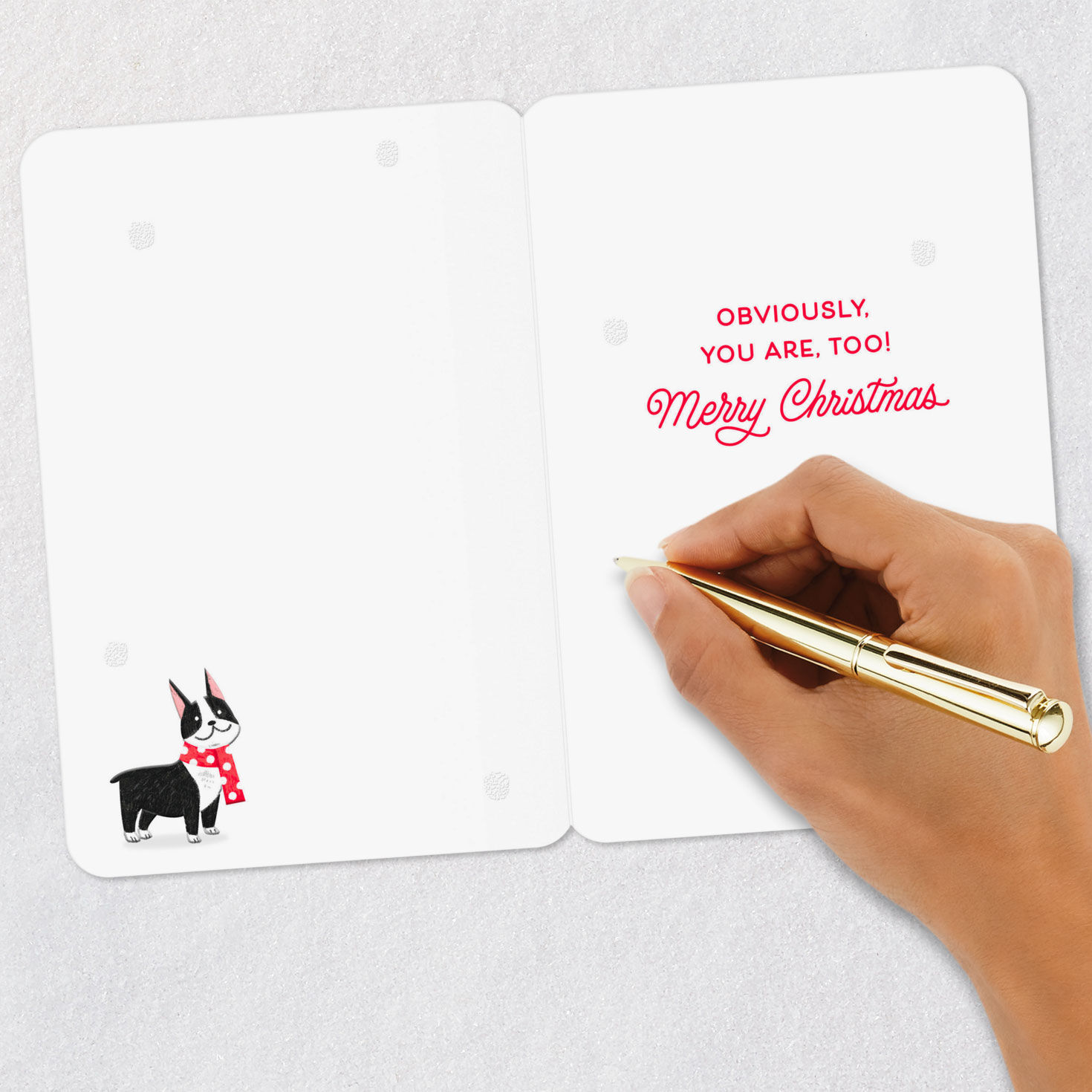 You and Every Dog Made the Nice List Christmas Card for only USD 2.99 | Hallmark
