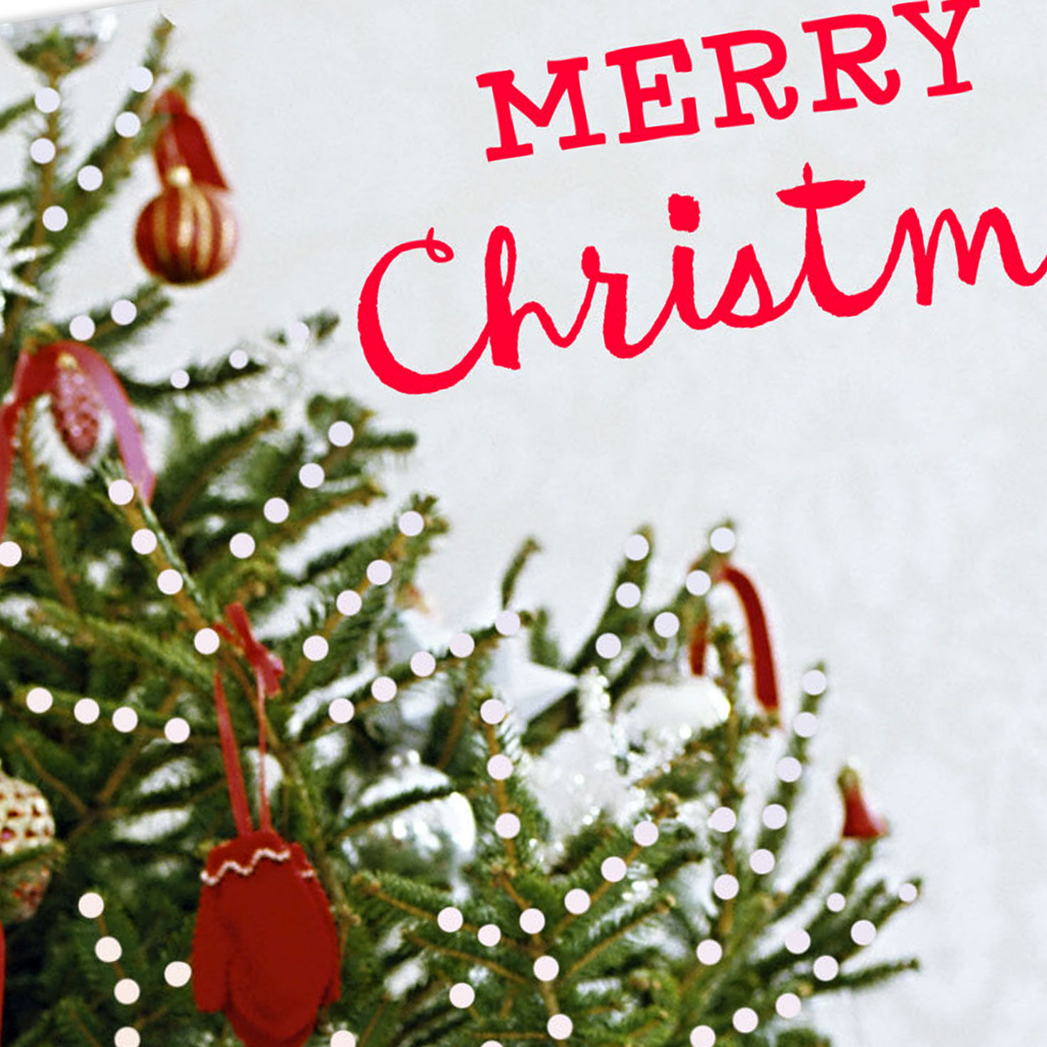 Every Little Joy of the Season Christmas Card for only USD 2.99 | Hallmark