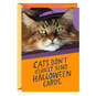 How Much I Love You Funny Halloween Card from the Cat, , large image number 1