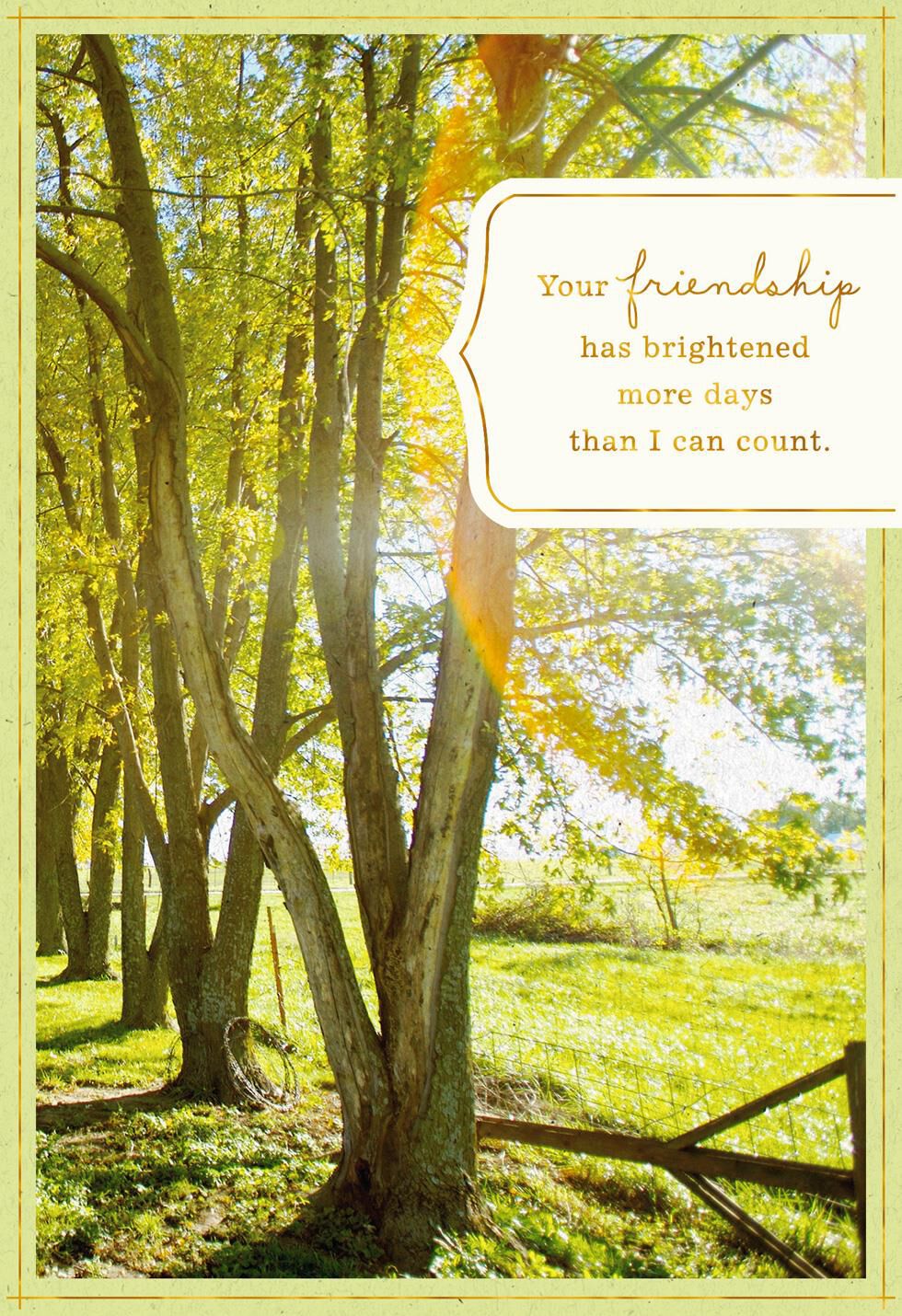 Sunlit Trees Birthday Card for Friend