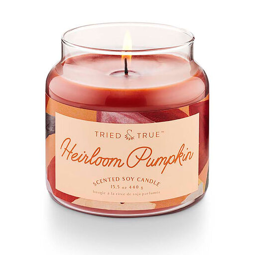 Illume Tried & True Heirloom Pumpkin Large Jar Candle, 15.5 oz., 