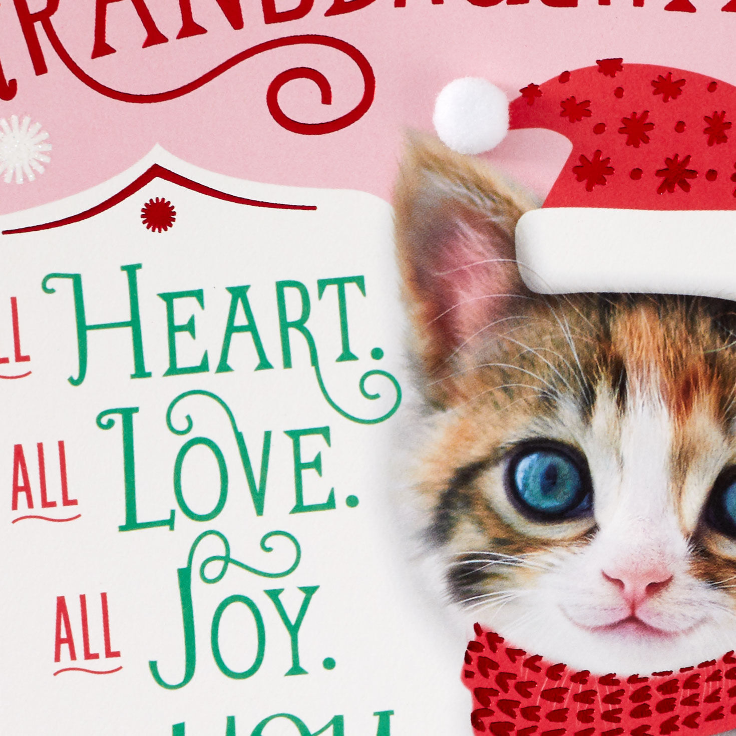 Cute Cat in Santa Hat Granddaughter Christmas Card Card Front Detail image number 4
