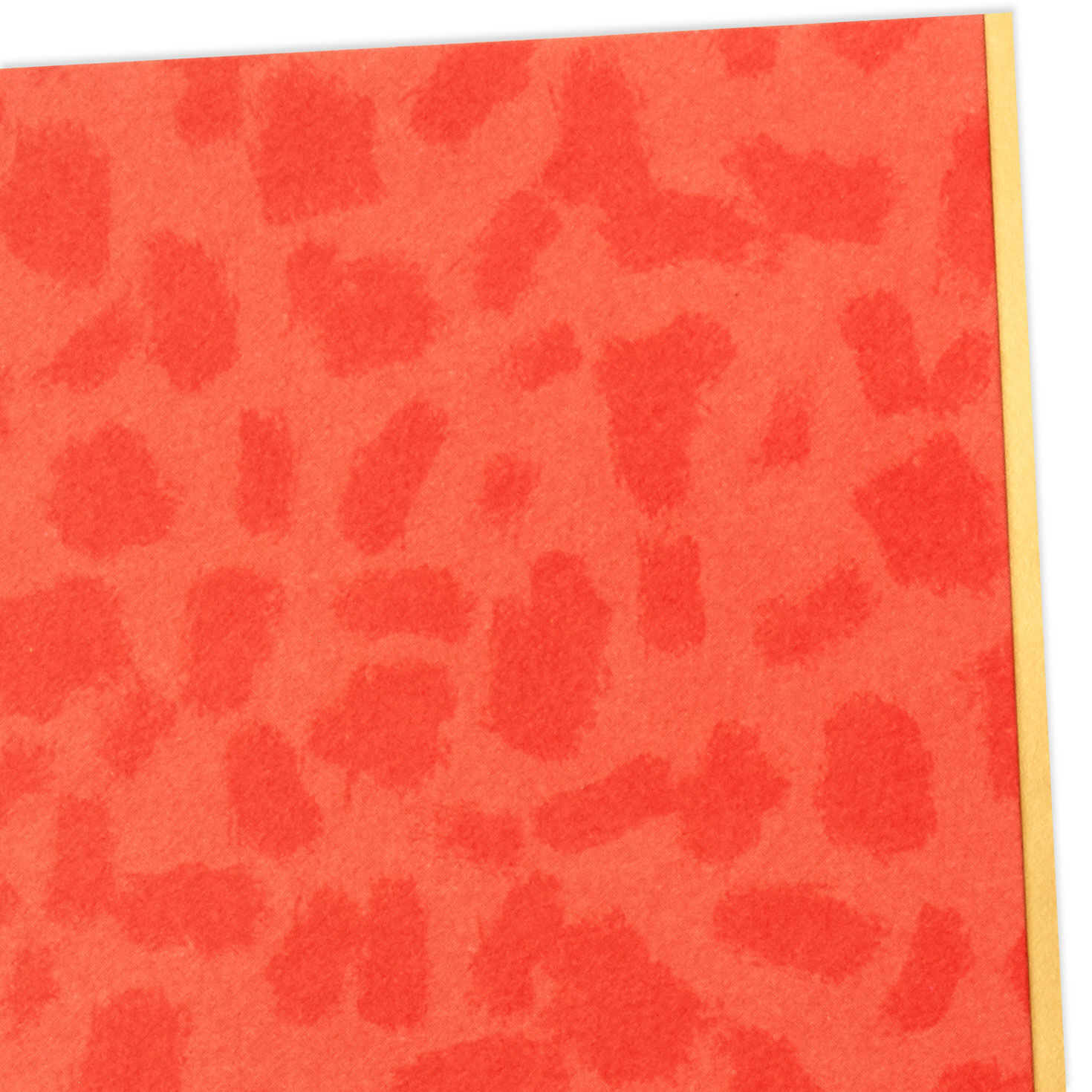 Orange Animal Print Blank Note Cards, Pack of 5, , large image number 3