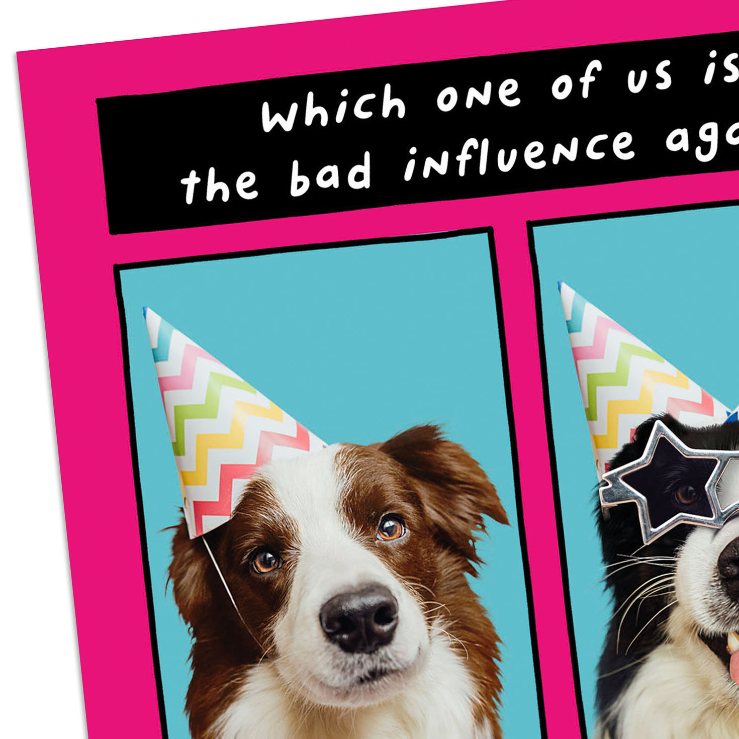 Party Dogs Funny Birthday Card for Sister Card Front Detail image number 4