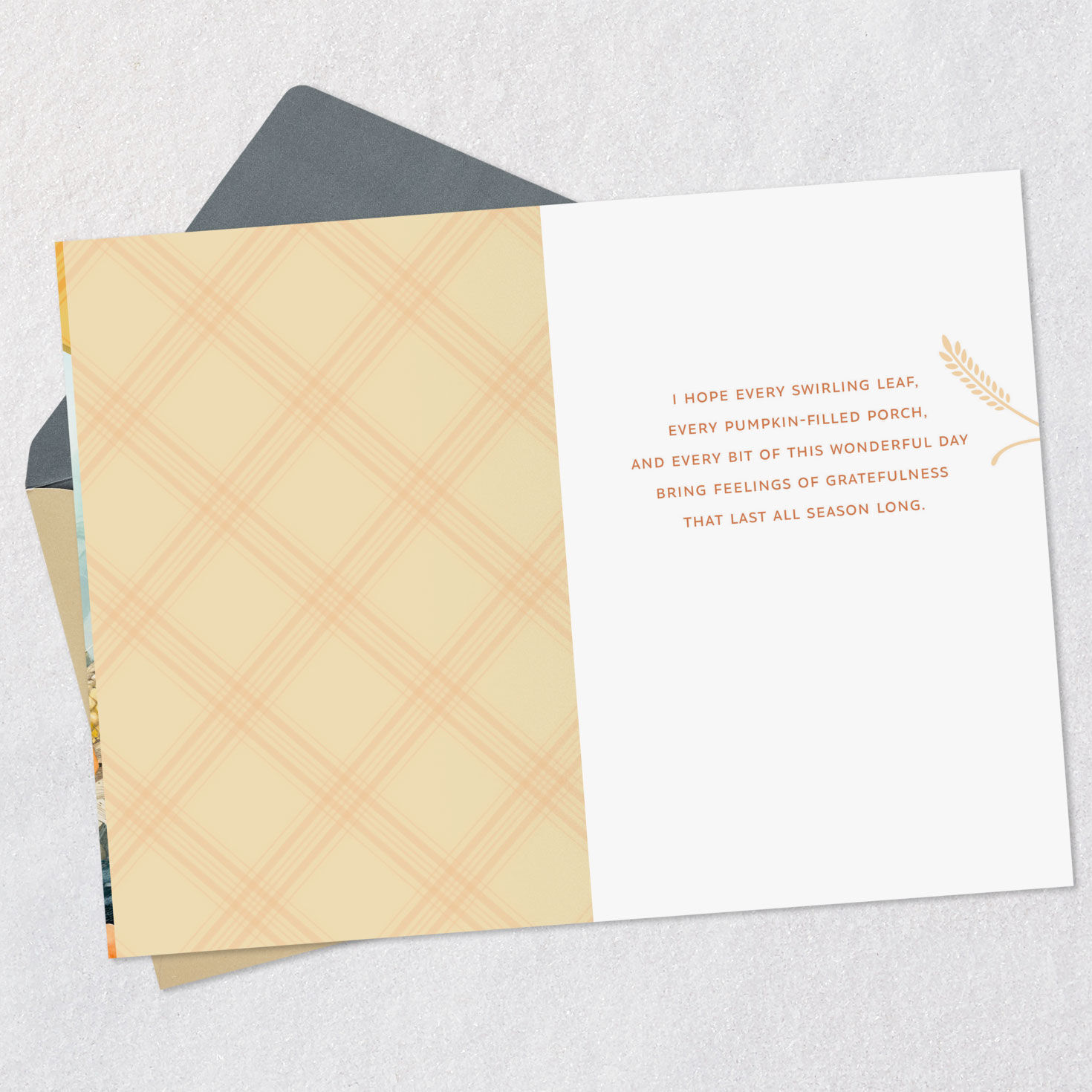 Marjolein Bastin Feelings of Gratefulness Thanksgiving Card for only USD 3.59 | Hallmark