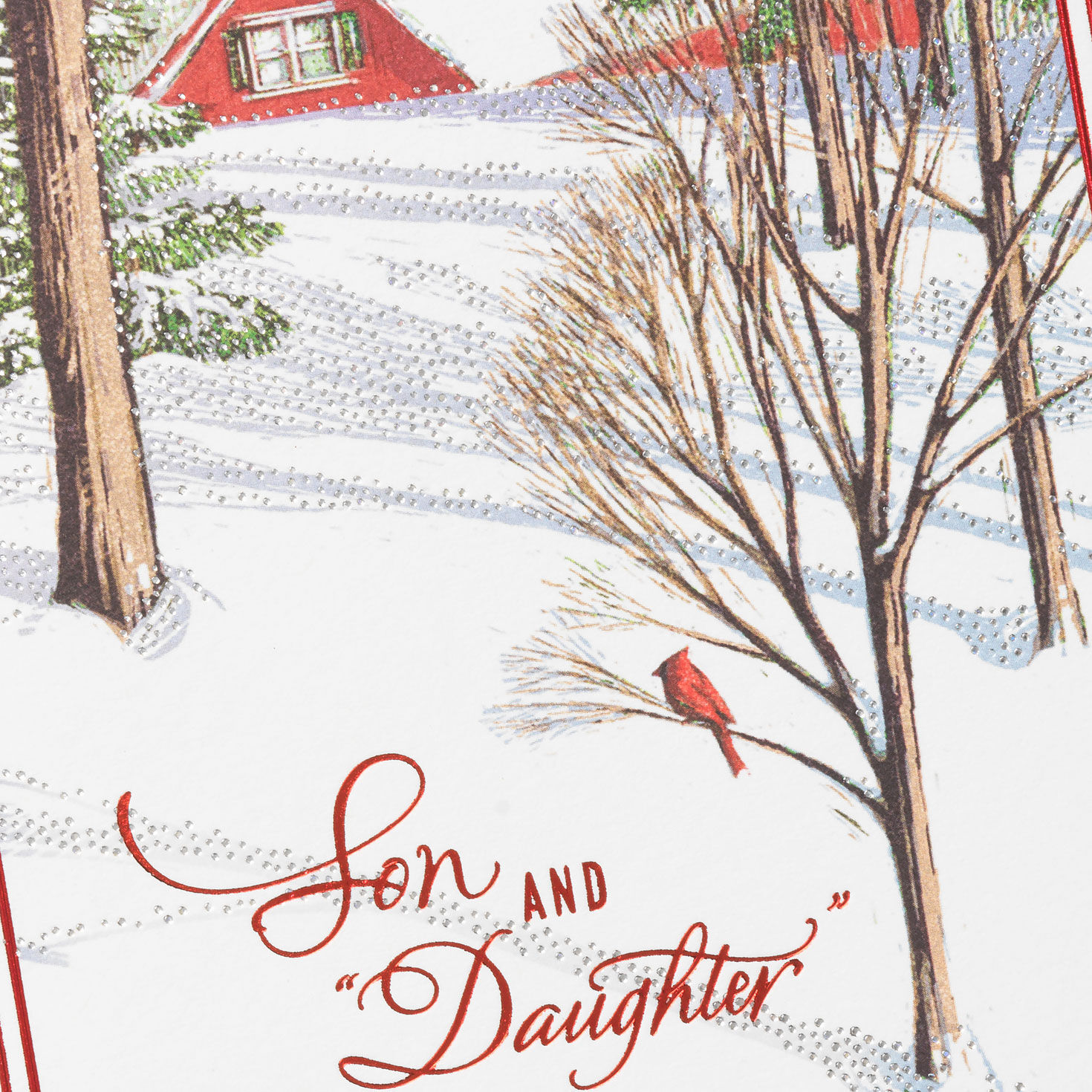 Cardinals in Snow Son and Daughter-in-Law Christmas Card Card Front Detail image number 4