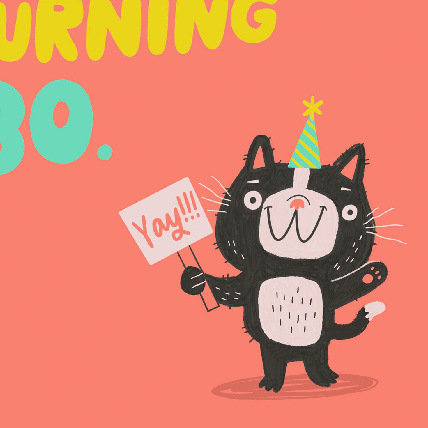 Cat in Party Hat Funny 30th Birthday Card Card Front Detail image number 4