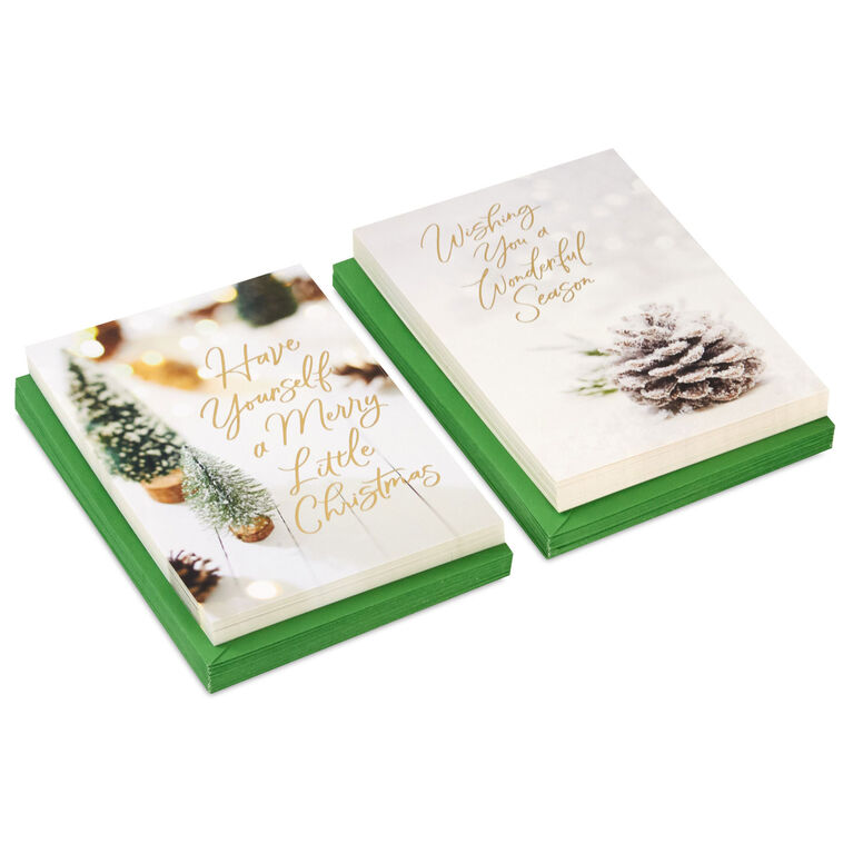 Snowy Botanical Boxed Christmas Cards, Pack of 40