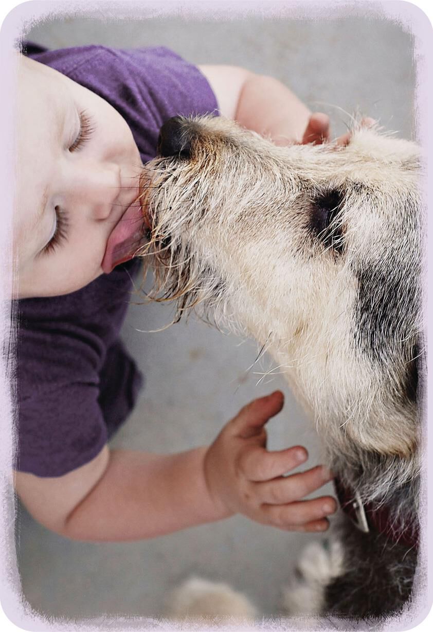 Dog Kissing Kid Encouragement Card