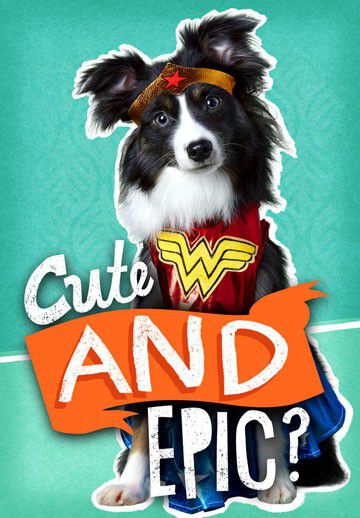 Cute and Epic Dog Funny Birthday Card